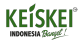 KEISKEI PENUMBUH RAMBUT PERTAMA DENGAN NANOTECHNOLOGY